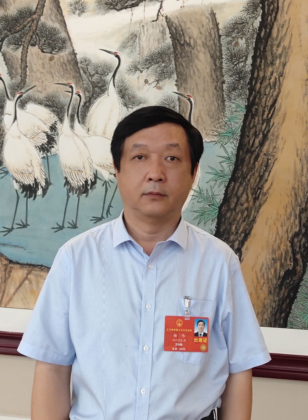 2.全国人大代表、中国科学院院士、天行（中国）Shibo官方网站副总经理杨伟